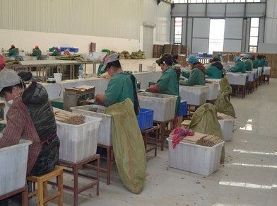 海(hǎi)底電(diàn)纜生(shēng)産車(chē)間(jiān)